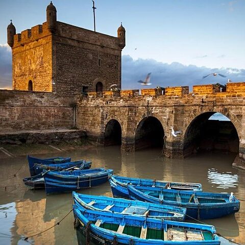 Private Essaouira Fishing port & Historic ramparts: Day Trip from Marrakech